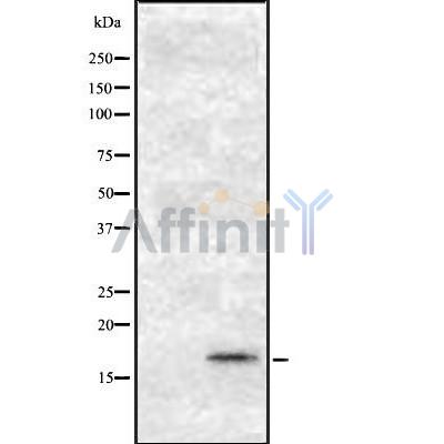 Валидация Affinity DF12303 - 6679