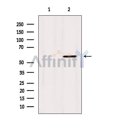 Валидация Affinity AF6229 - 3467