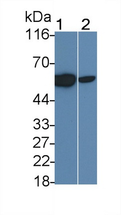65353