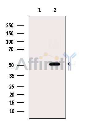 Валидация Affinity DF8450 - 20330