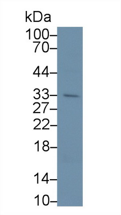 12857
