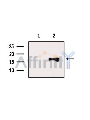Валидация Affinity DF14129 - 9928