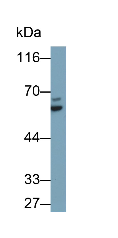 8322