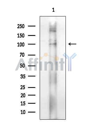 Валидация Affinity DF14379 - 10302