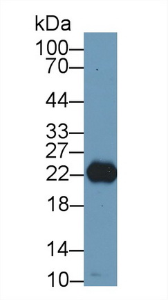 13379
