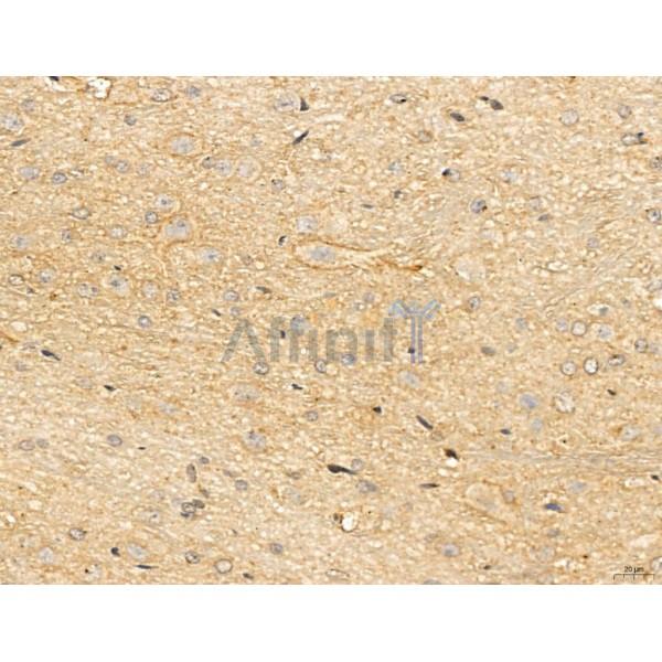 Валидация Affinity DF13130 - 8058