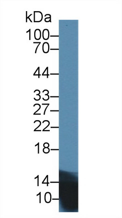 9933