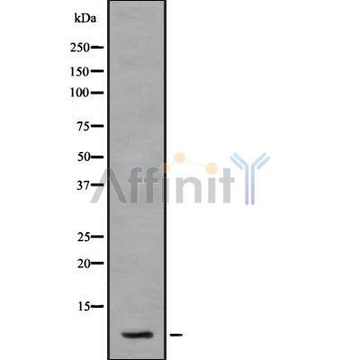 Валидация Affinity DF8225 - 20057
