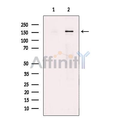 Валидация Affinity DF10369 - 5993