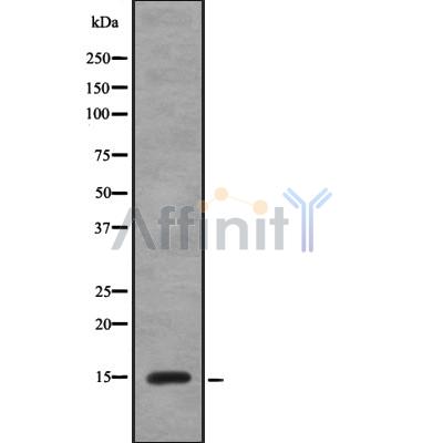 Валидация Affinity DF8770 - 20801