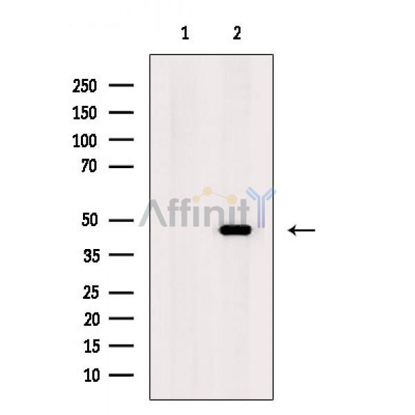Валидация Affinity DF3332 - 14195