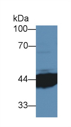 12378