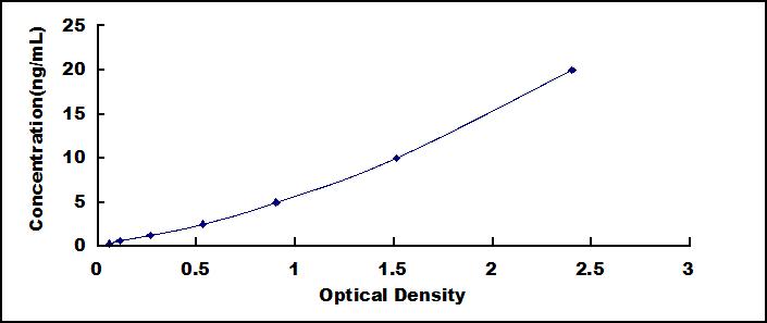 37501