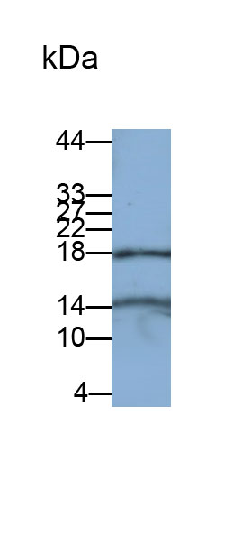 30947
