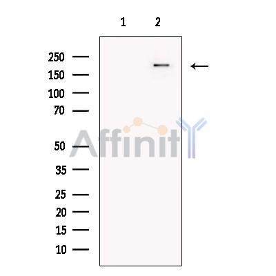 Валидация Affinity DF13436 - 8755