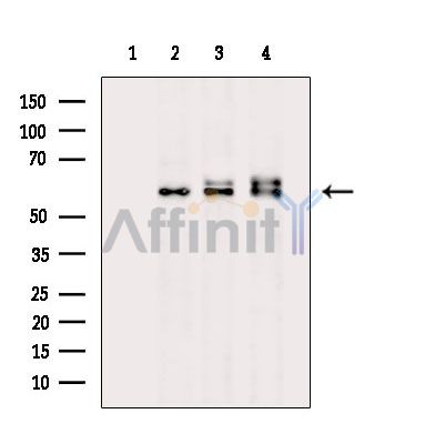 Валидация Affinity DF13965 - 9716