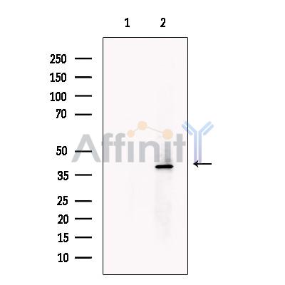 Валидация Affinity DF13715 - 9338