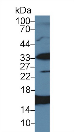 13887