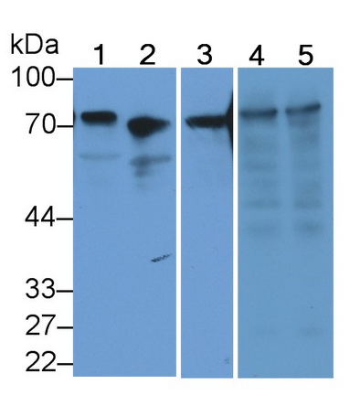 13407