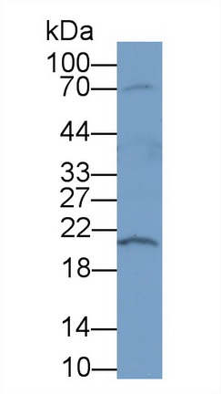 12353