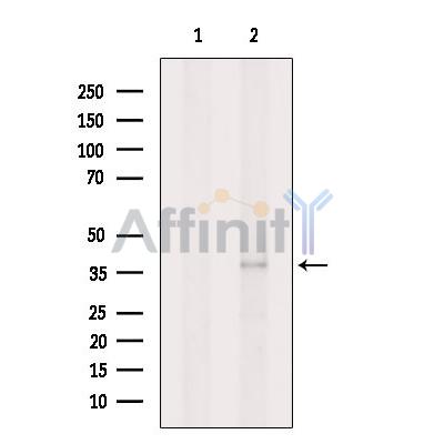 Валидация Affinity DF8635 - 20580
