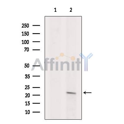 Валидация Affinity DF13284 - 8400