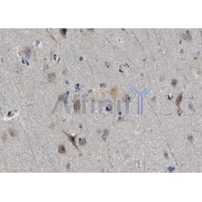 Валидация Affinity DF12150 - 6340