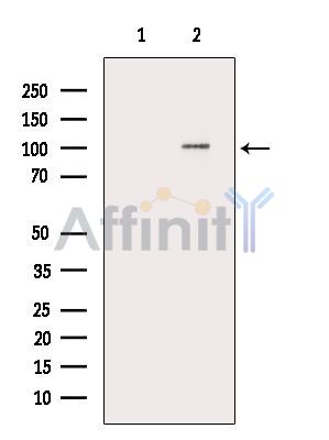 Валидация Affinity DF14064 - 9843