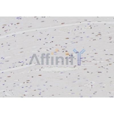 Валидация Affinity DF6198 - 17456