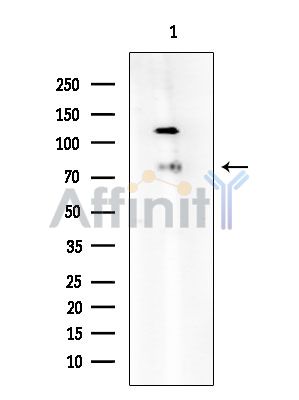 Валидация Affinity DF6275 - 17578