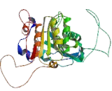 Phospholipase A2, Lipoprotein Associated (LpPLA2)