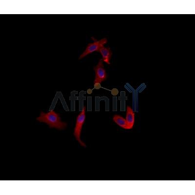 Валидация Affinity AF9220 - 5059