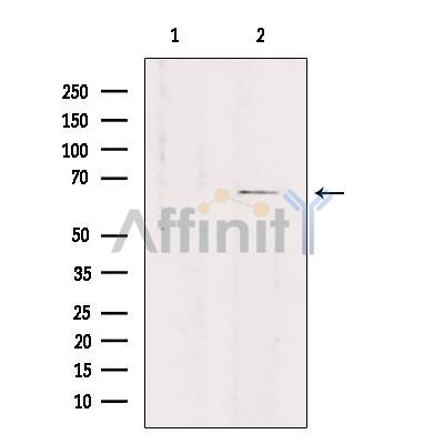 Валидация Affinity DF3906 - 15078
