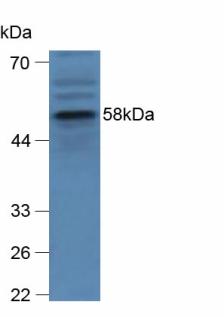 3839