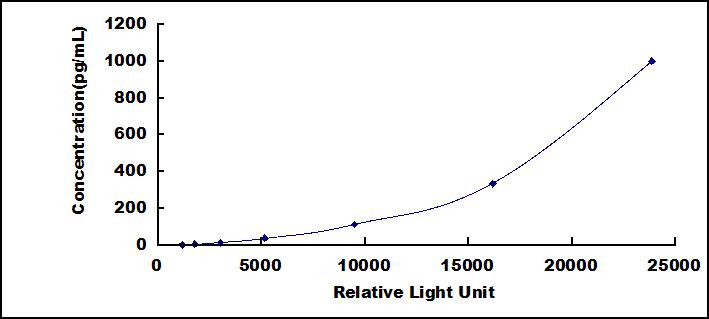 46092