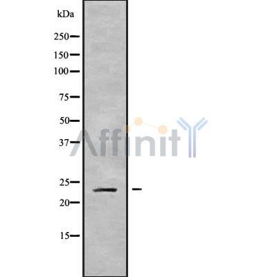 Валидация Affinity DF9396 - 21936