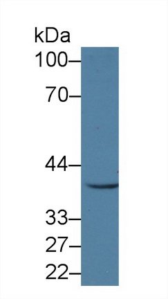 13969