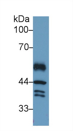 13198
