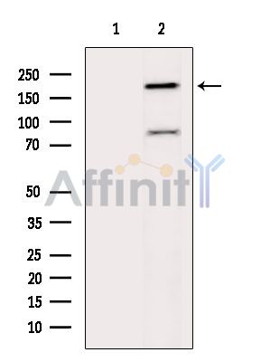 Валидация Affinity DF4077 - 15349