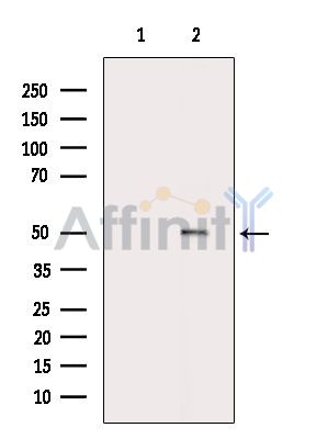 Валидация Affinity DF6131 - 17358