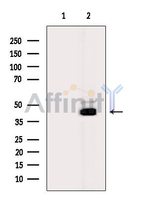 Валидация Affinity DF14946 - 11129