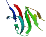 Ki-67 Protein (Ki67P)