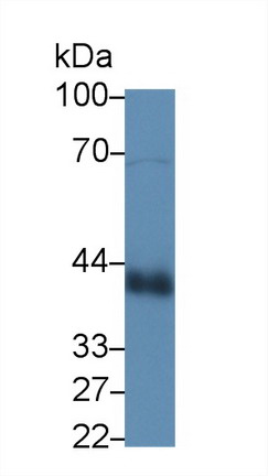 9788