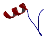 Thymosin Beta 4 (Tb4)