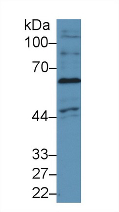 9195