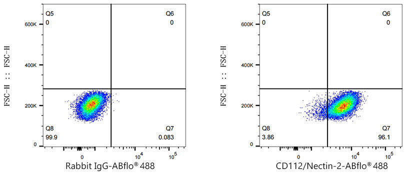 A24090, проточная цитометрия, клетки C2C12 (14052)