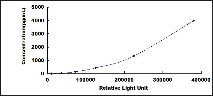 46290