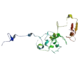 Interleukin 27 (IL27)