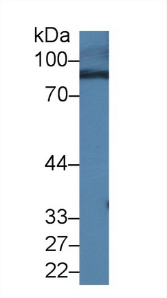 9883