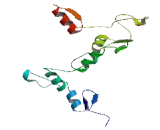 Zinc Finger Protein 550 (ZNF550)